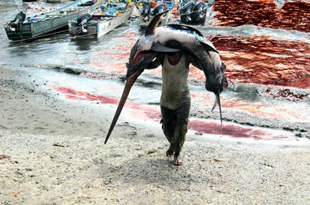 la pesca